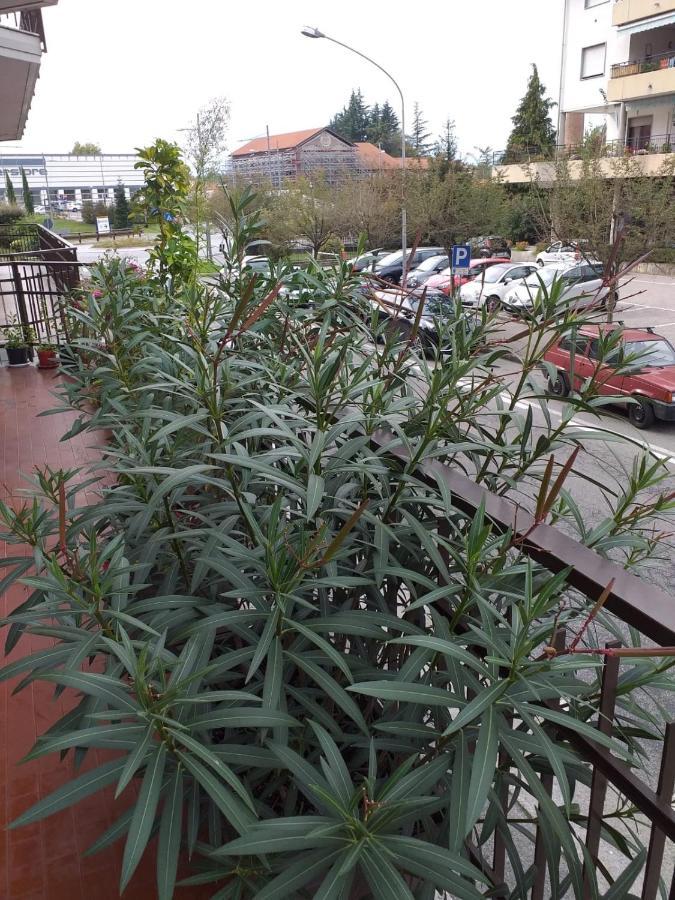 Sesto Calende Centro Διαμέρισμα Εξωτερικό φωτογραφία